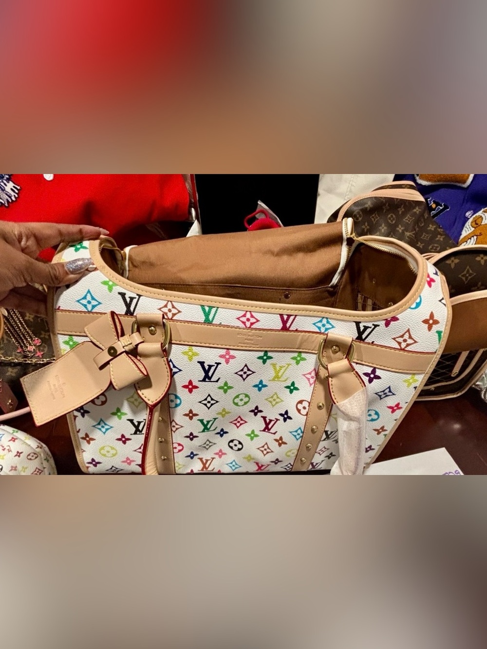 ๐ ๐ฉLuxury Pet Carrier 17x9x13 Approximately - Picture 6 of 8